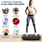 VibeFit Pro – Full Body Vibration Plate
